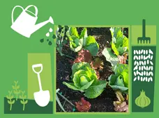 Ciclo de workshops: Vamos à Horta? - Horta biológica em casa — event image
