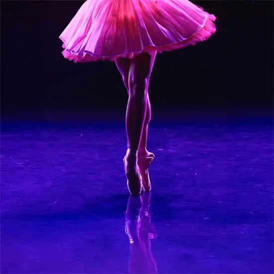 Imagem do evento Ballet of Lights: Sleeping Beauty in a Sparkling Show
