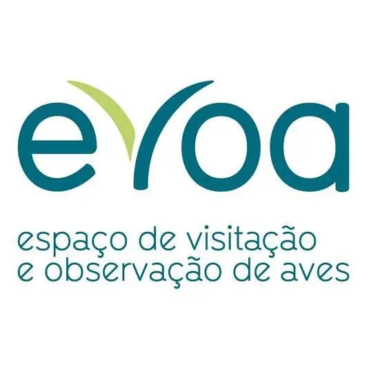 Imagem do evento EVOA Sunset Especial ECLIPSE