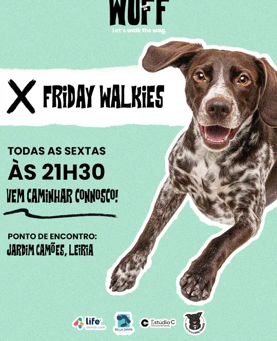 Friday Walkies — event image