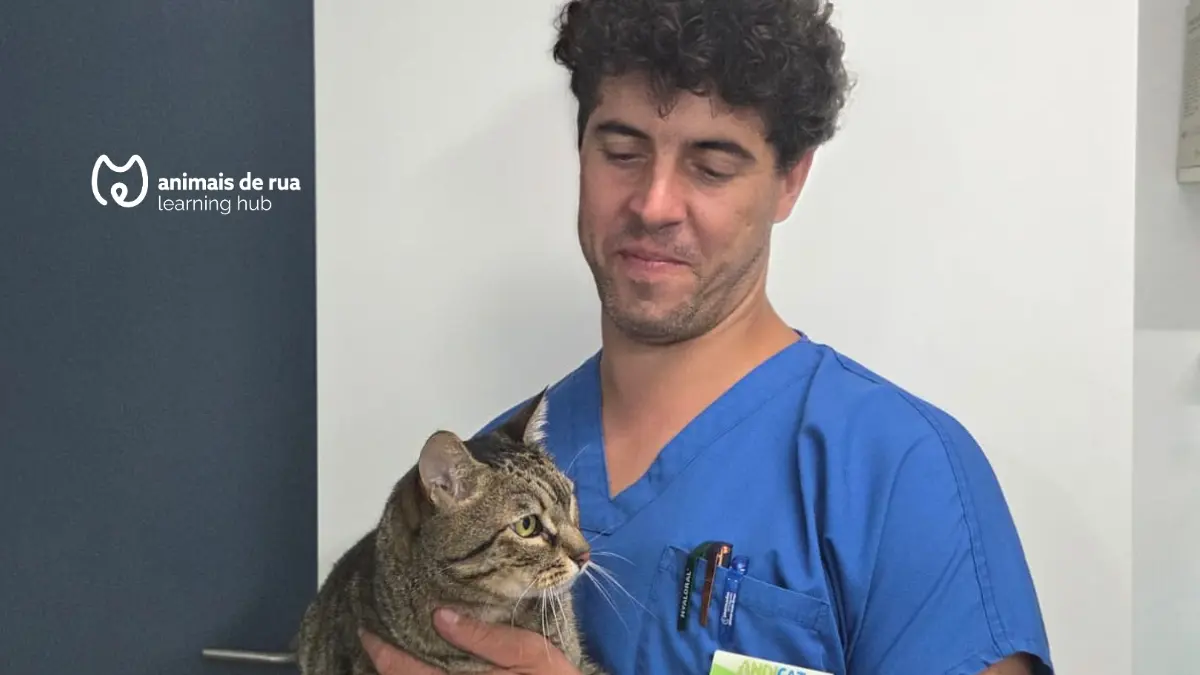 Masterclass: Como cuidares do teu gato sem stress: Medicação, transporte e dicas práticas para o dia a dia — event image