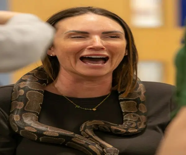 Imagem do evento One World Animals - Bourne End (Bucks)